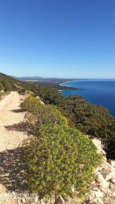 Haiku Home Cala Gonone Bagian luar foto