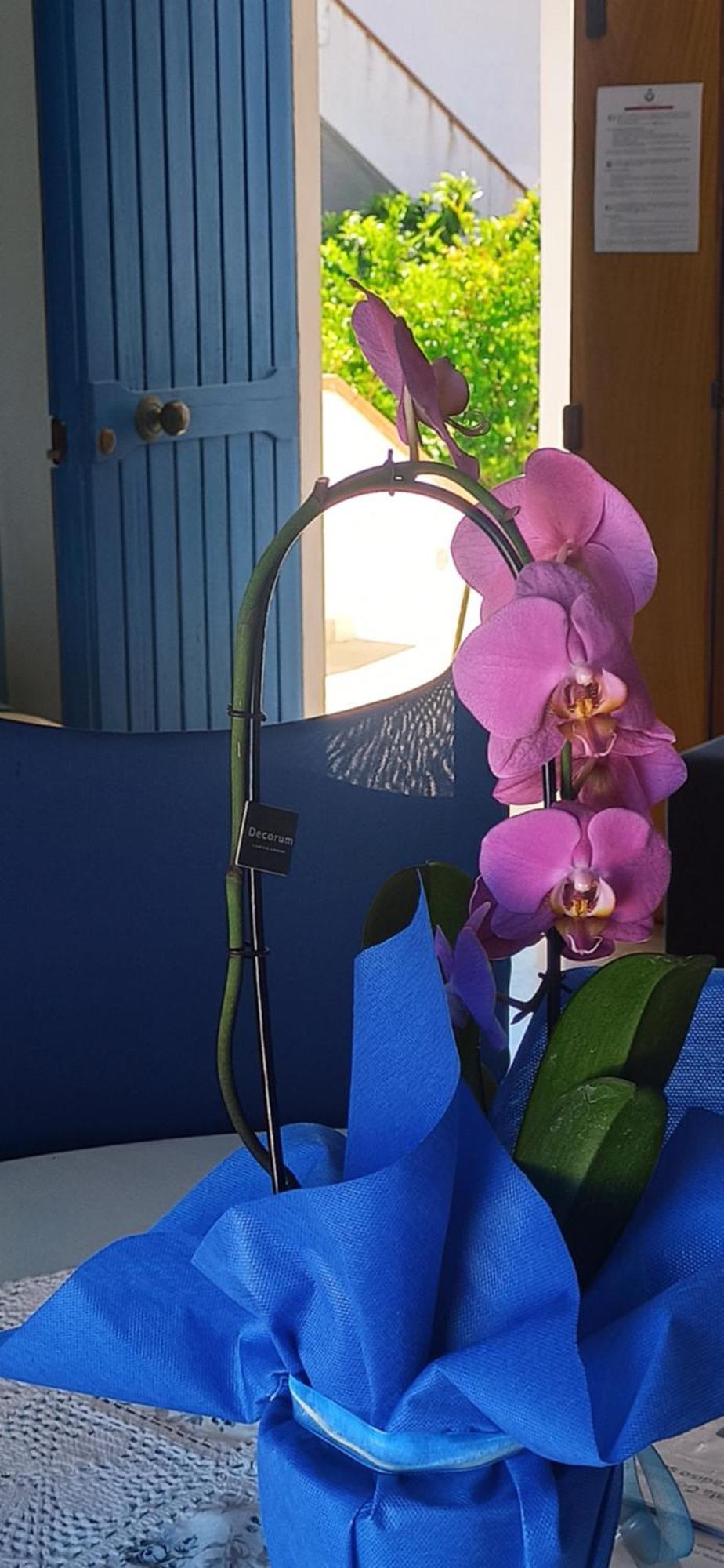 Haiku Home Cala Gonone Bagian luar foto